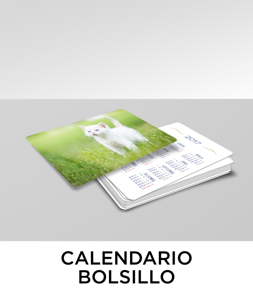 Calendario de bolsillo