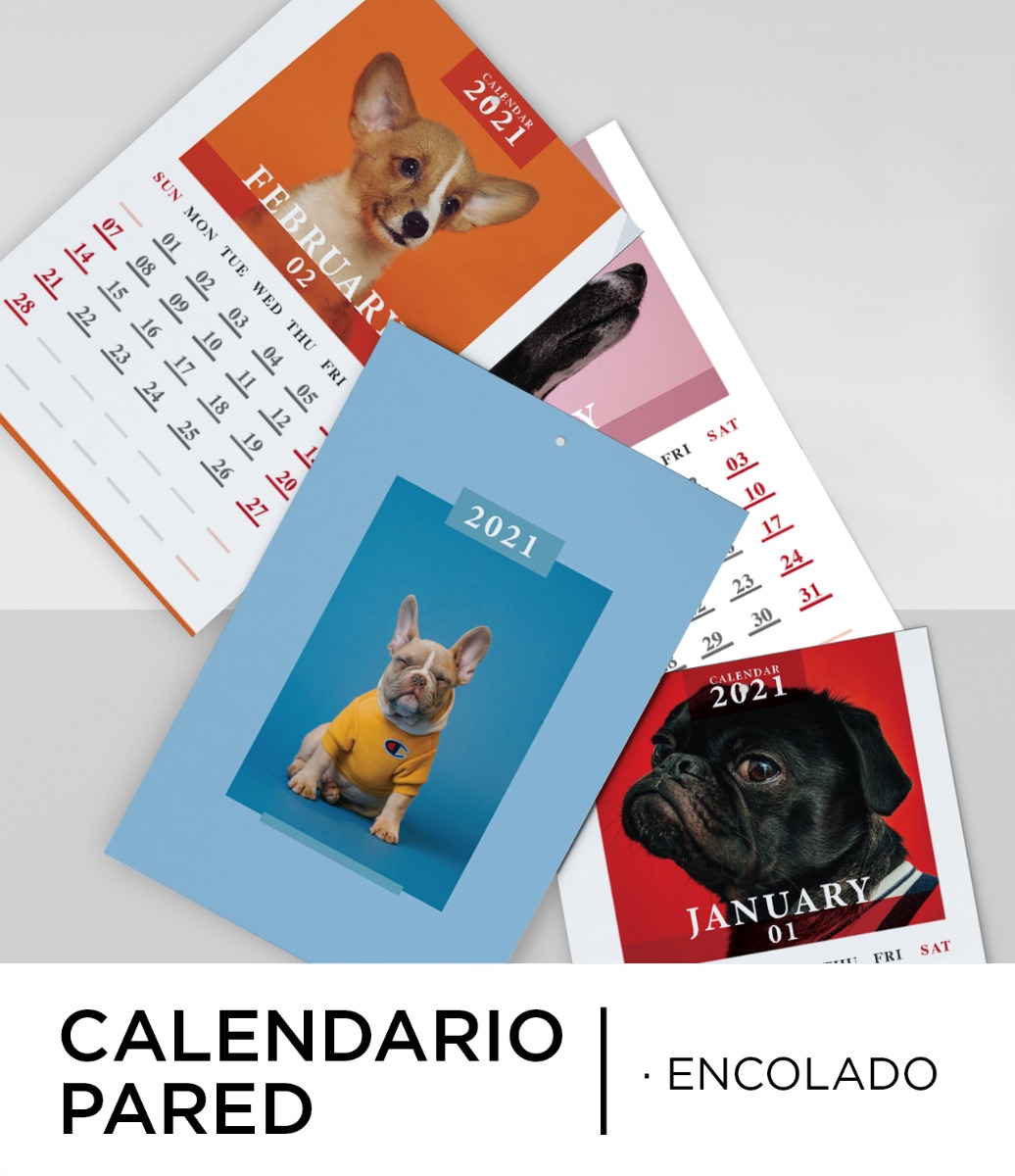 Calendario Pared Encolado