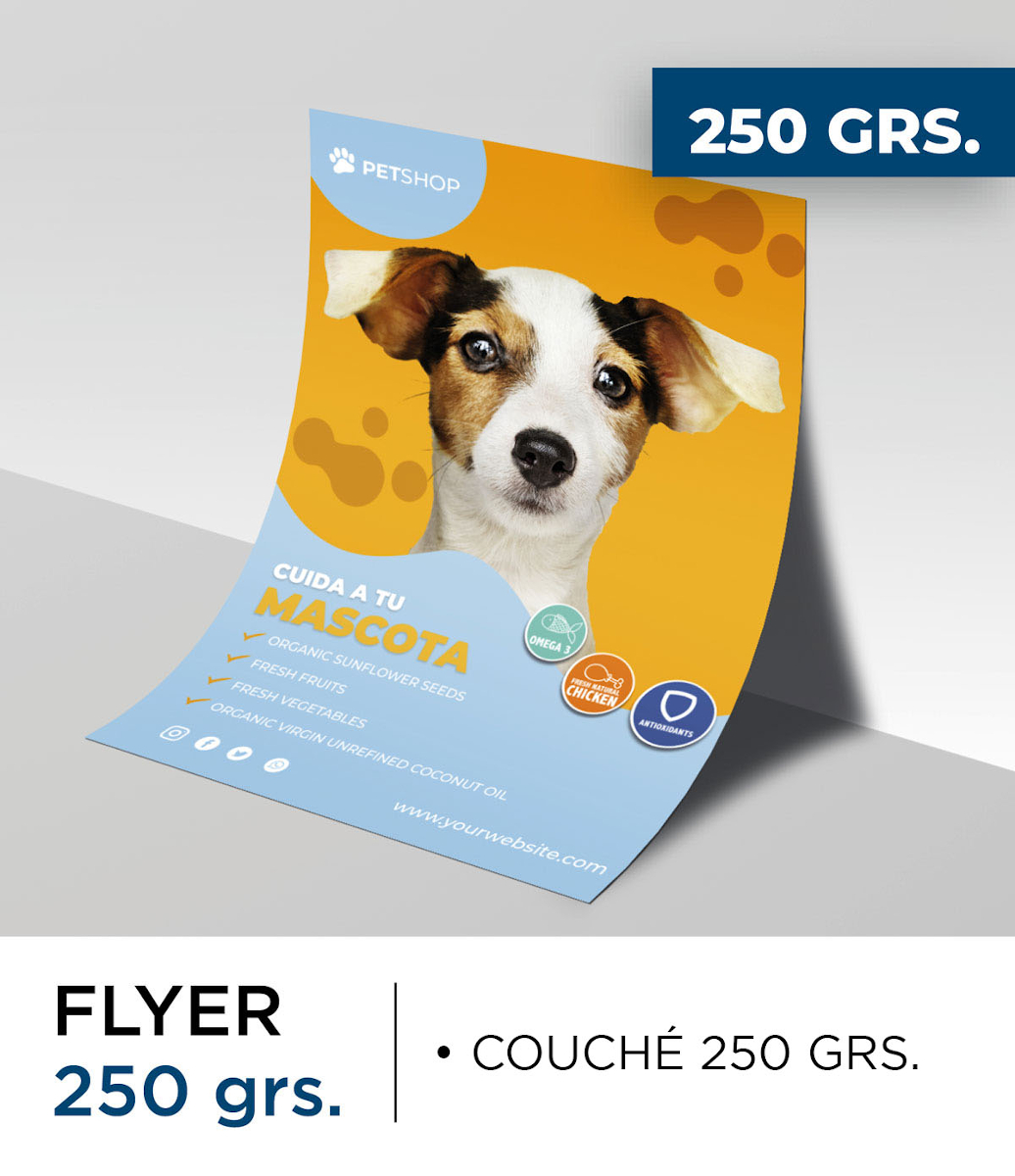 Flyers 250 grs