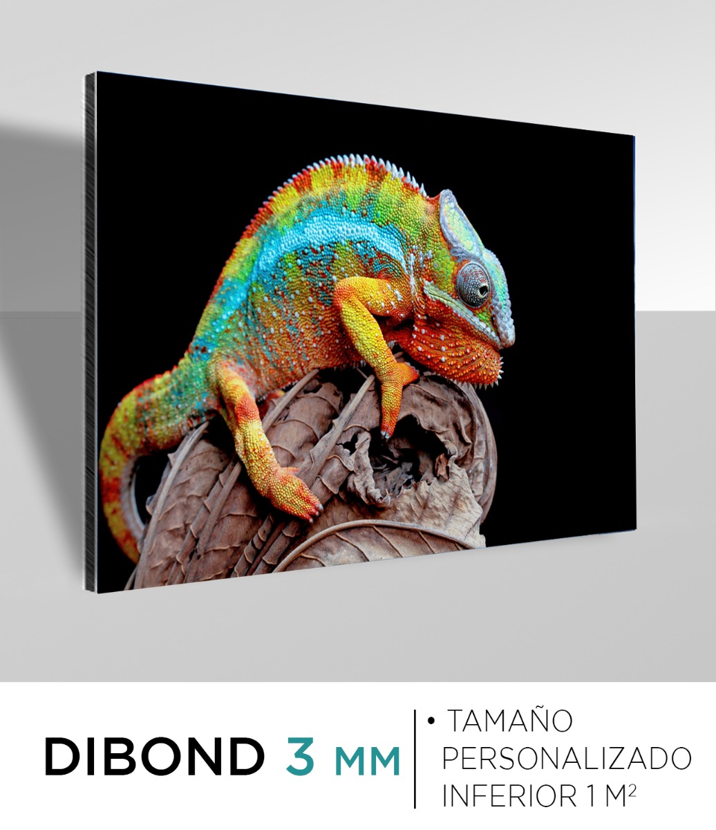DIBOND 3 MM INFERIOR A 1 M²