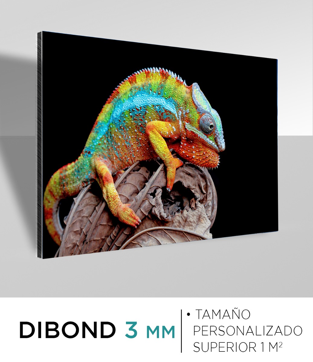 Dibond 3 mm superior a 1 m²