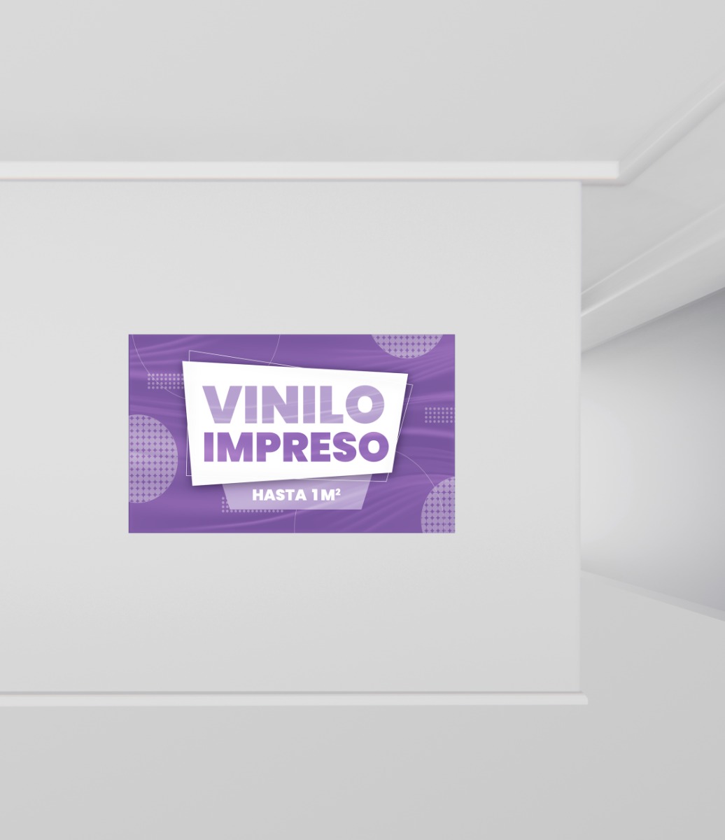 VINILO IMPRESO INFERIOR 1m2