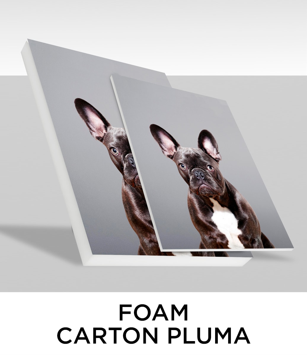 Foam Cartón Pluma