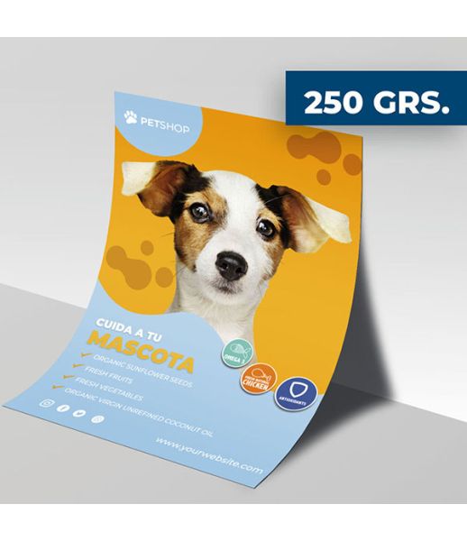 Flyer 250 gramos