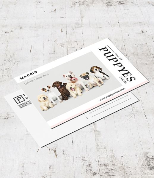 Tarjetas Postales Personalizadas