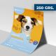 Flyer 250 gramos