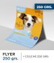 Flyer 250 gramos