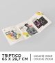 Tríptico 63 X 29,7 cm