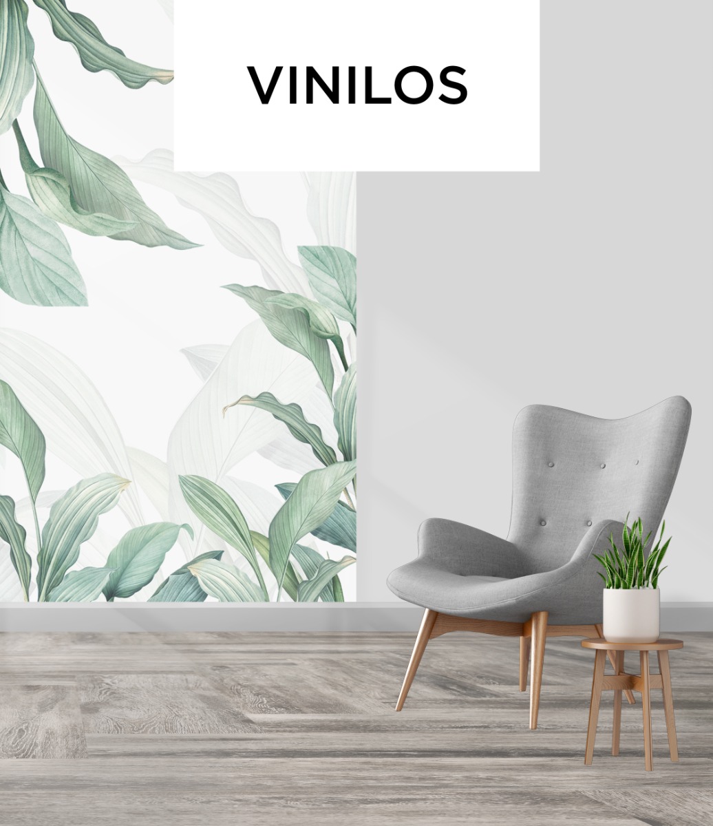 Vinilos